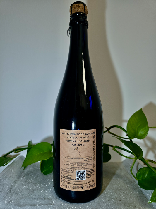 Alessandro Viola Blanc de Blanc Spumante Pas Dose