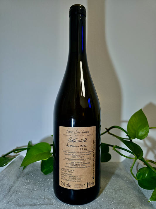 Alessandro Viola Le Mie Origini