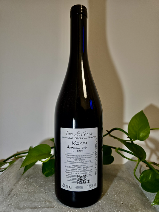 Alessandro Viola Note di Bianco