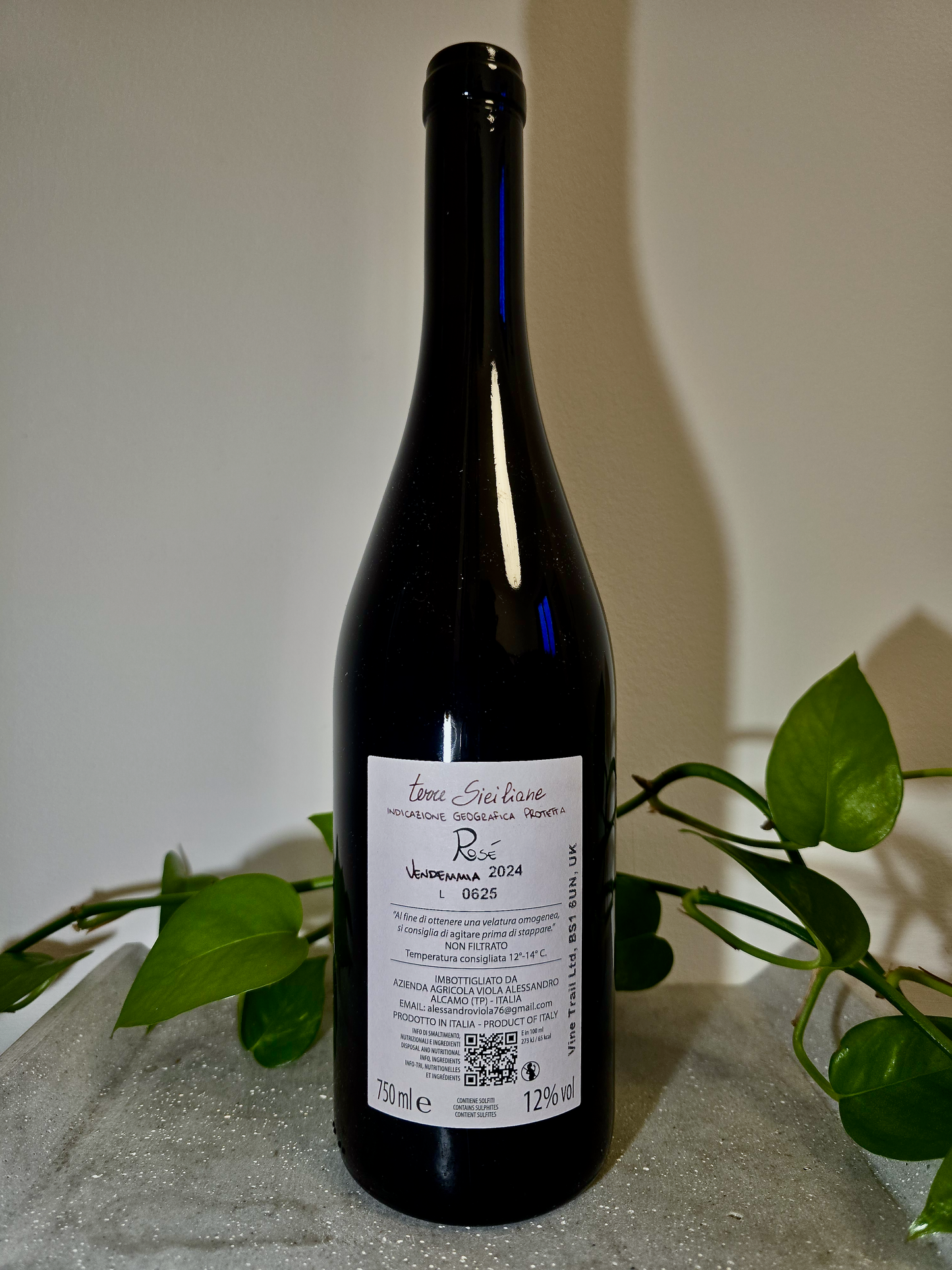 Alessandro Viola Rose