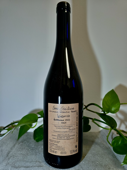 Alessandro Viola Sinfonia di Bianco