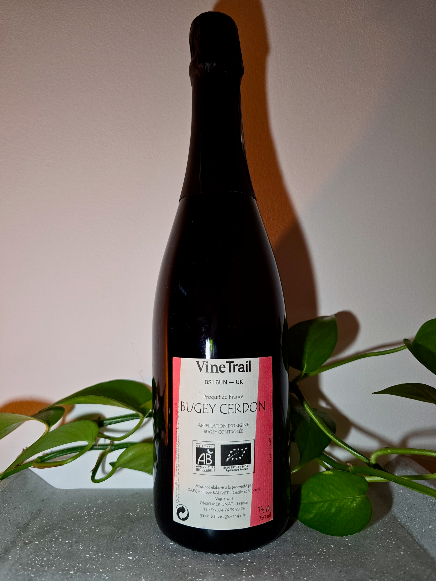 Philippe Balivet Bugey Cerdon Methode Ancestrale