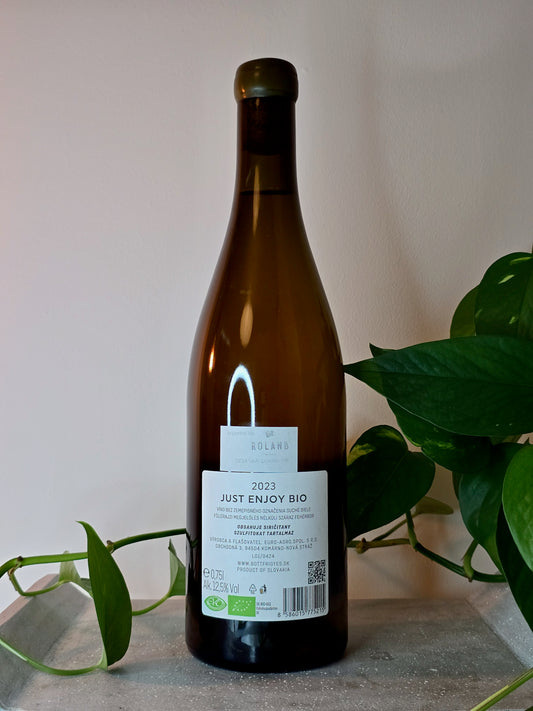 Bott Frigyes Just Enjoy