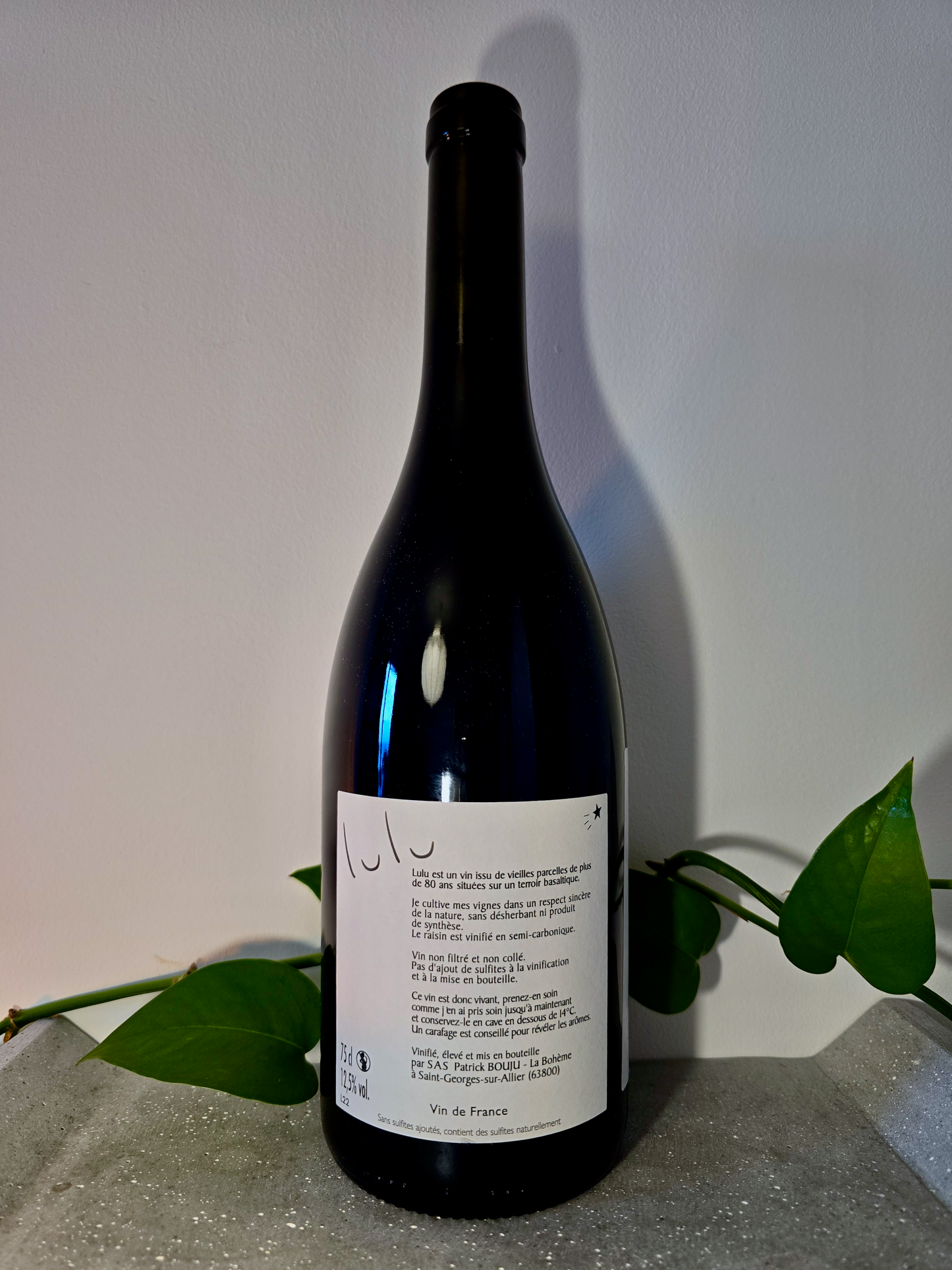 Patrick Bouju and Justine Loiseau Lulu