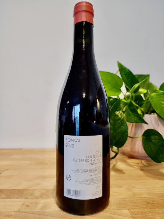 Claus Preisinger Bonsai