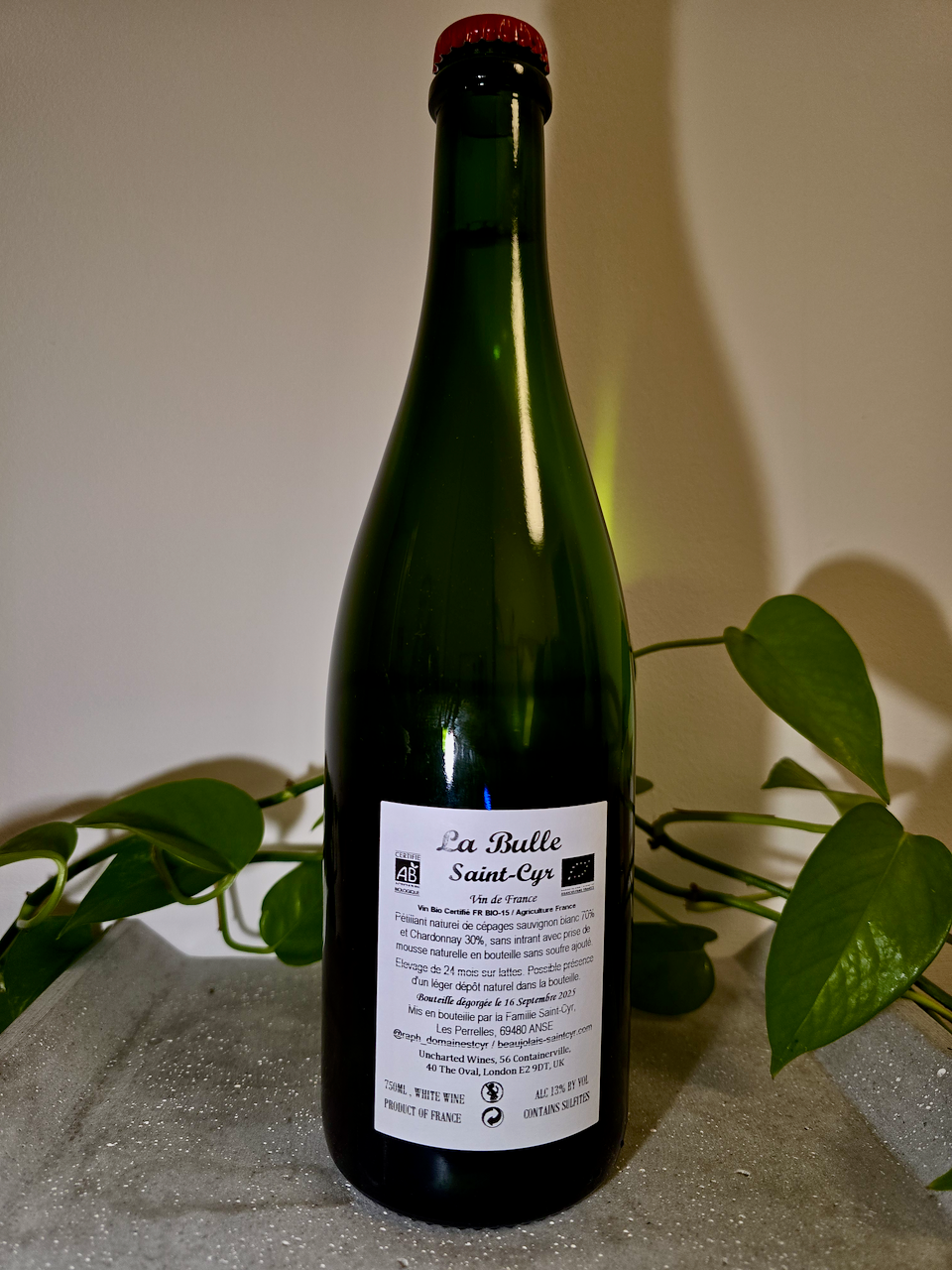 Domaine Saint Cyr La Bulle Pet-Nat