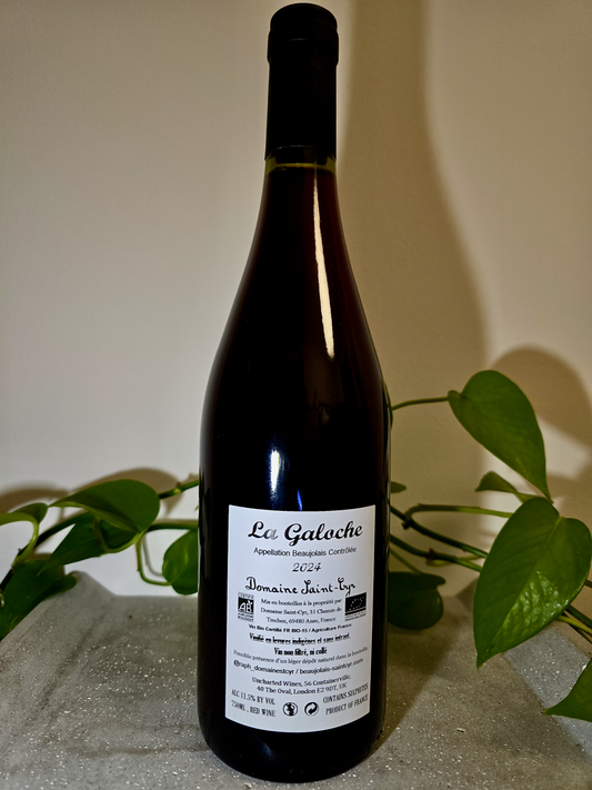 Domaine Saint Cyr Beaujolais La Galoche Rouge