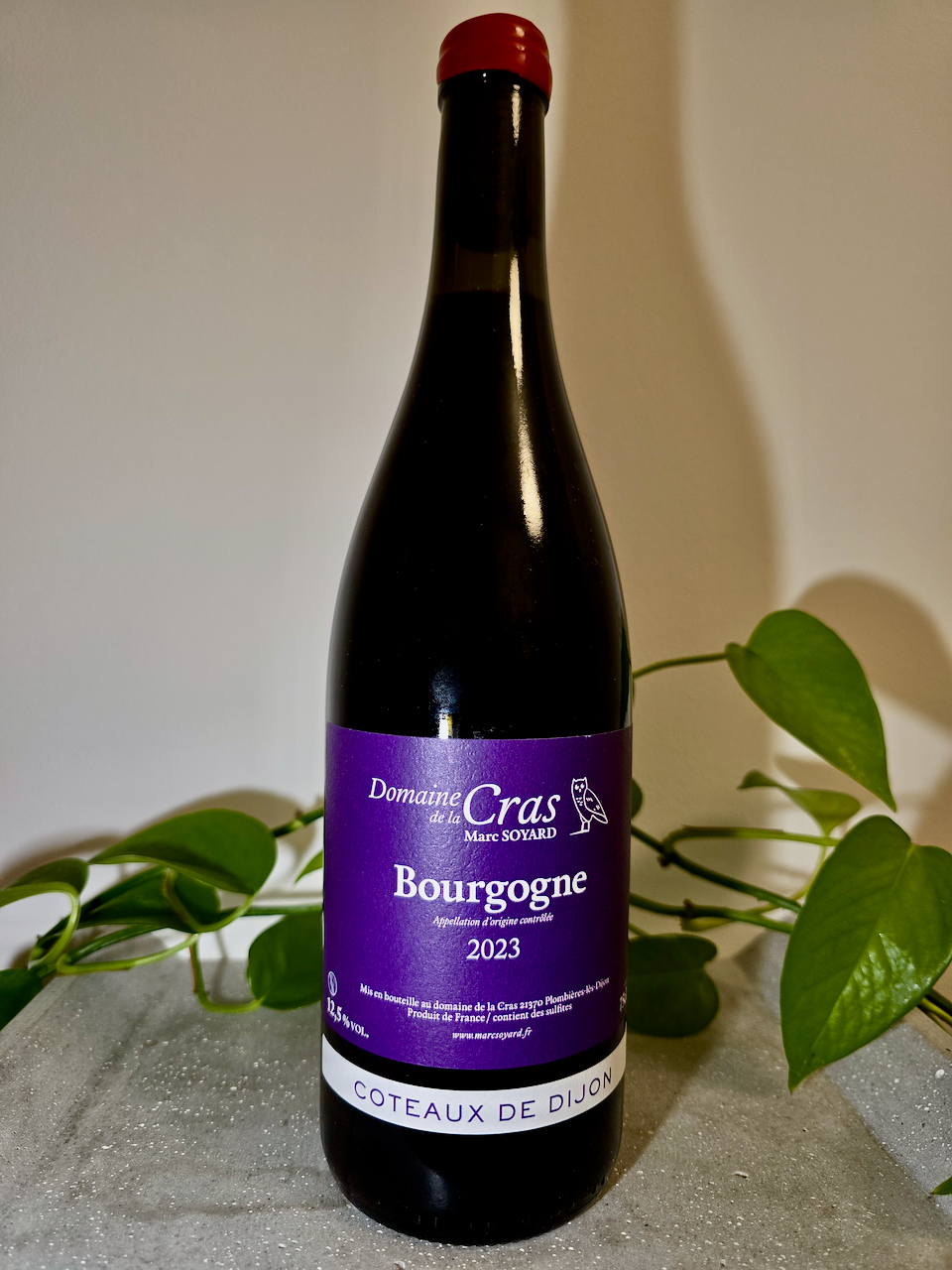 Domaine de la Cras Bourgogne Rouge