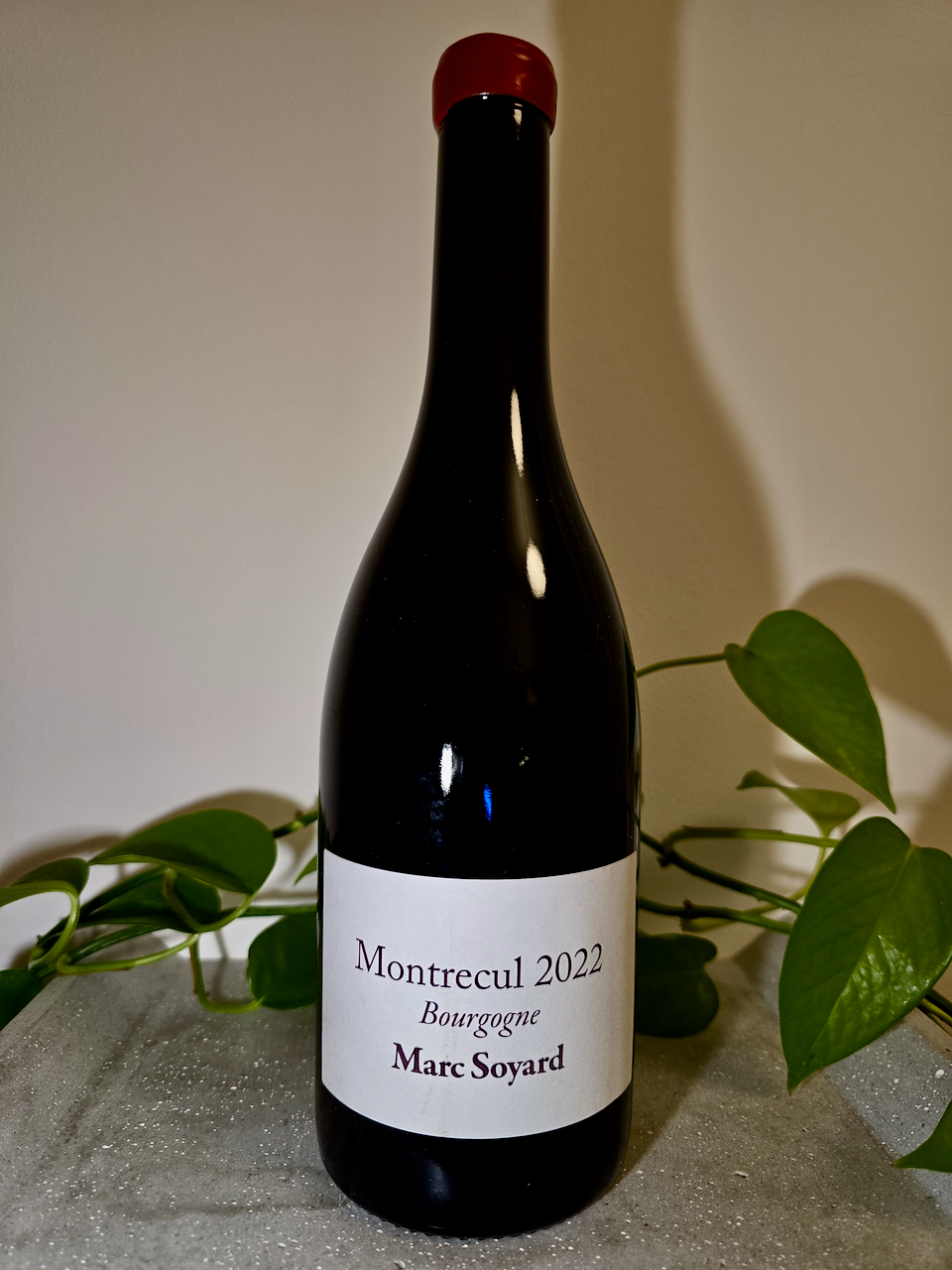 Domaine de la Cras Bourgogne 'Montrecul' – Prost Wines