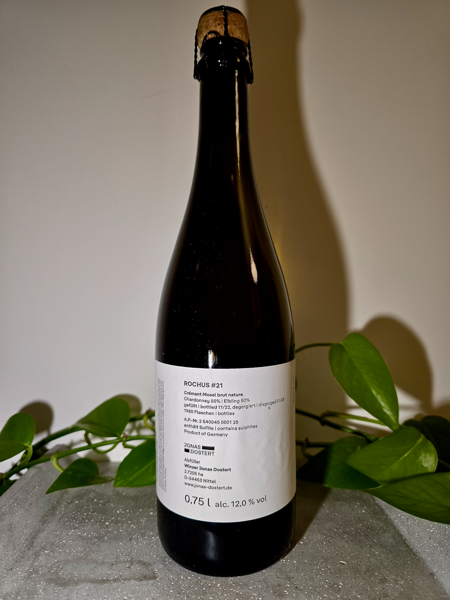 Jonas Dostert Rochus #21