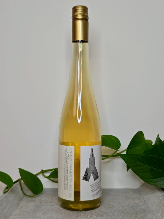 Jutta Ambrositsch Satellit