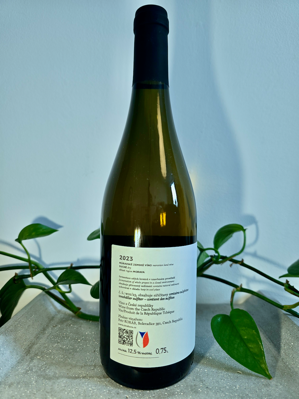 Petr Koráb Carbonic Veltliner