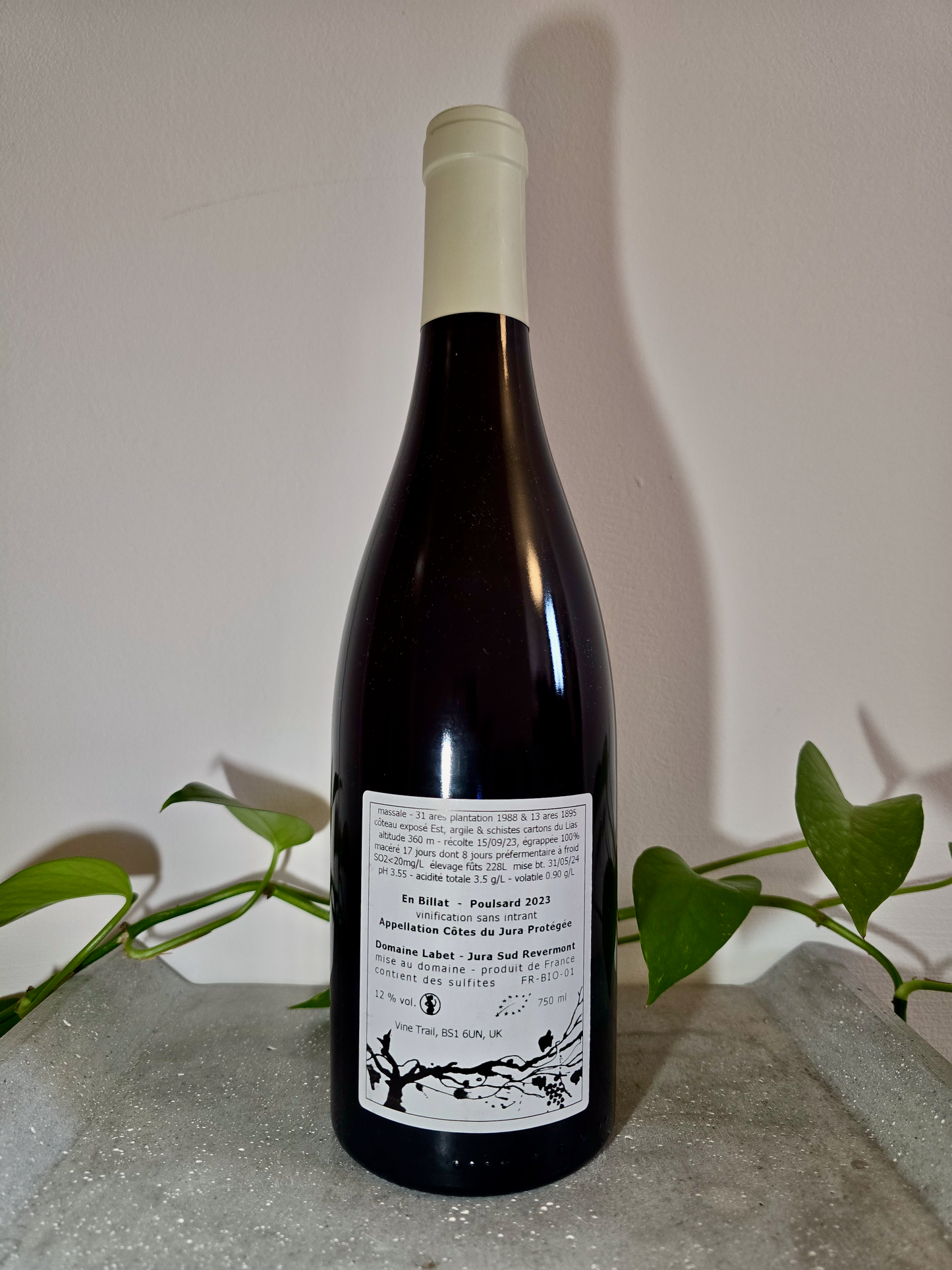 Domaine Labet En Billat