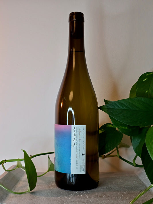 Les Errances La Baignade