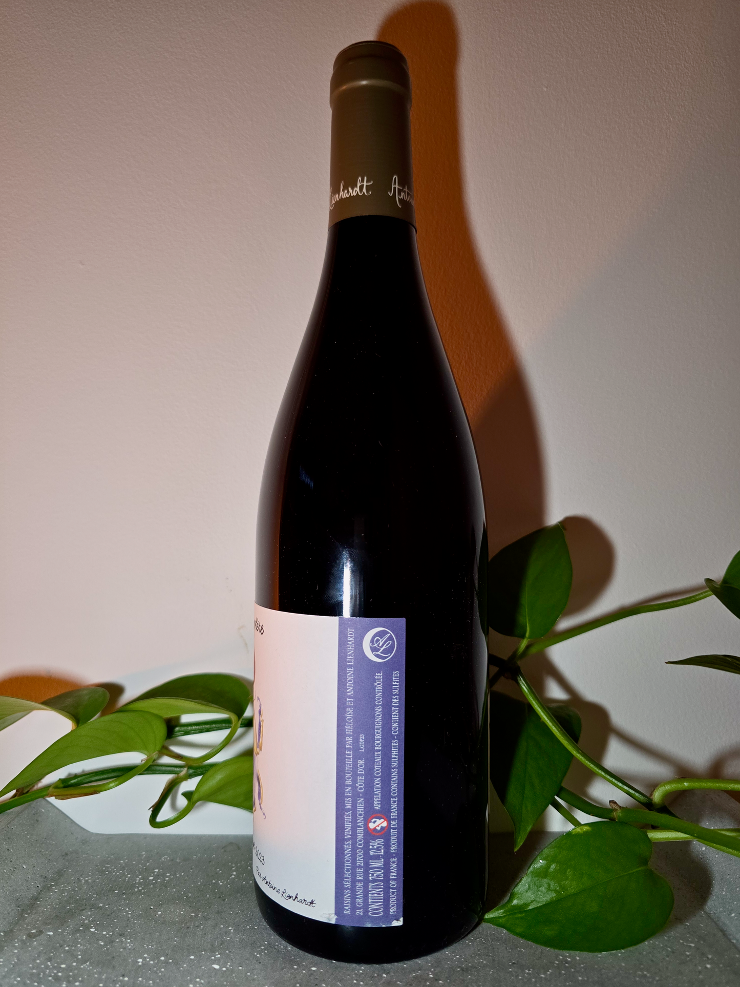 Antoine Lienhardt Gamayoptère 'Gamay du Pierrot'