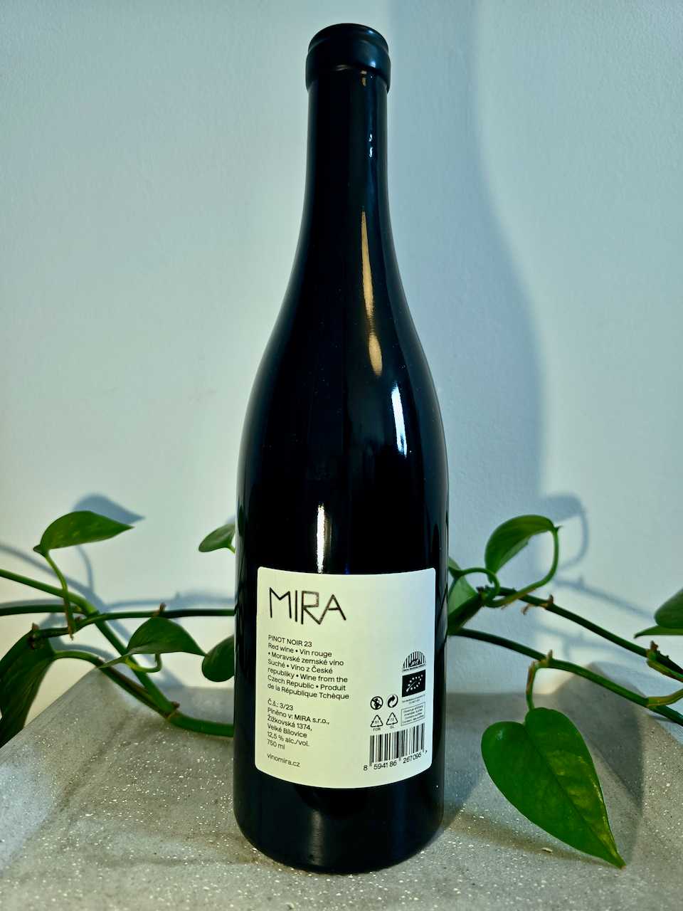 Mira Nestarec Pinot Noir
