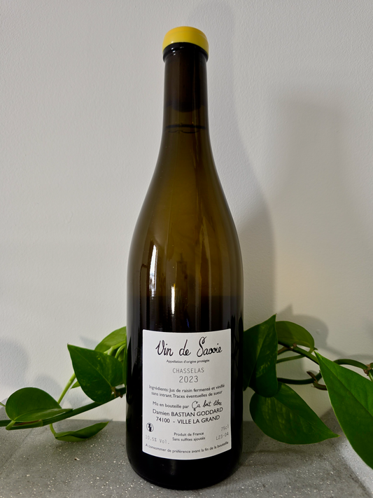 Ca Boit Libre Mon Blanc des Alpes