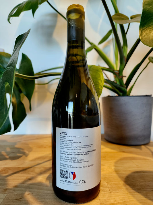 Petr Koráb Veltliner