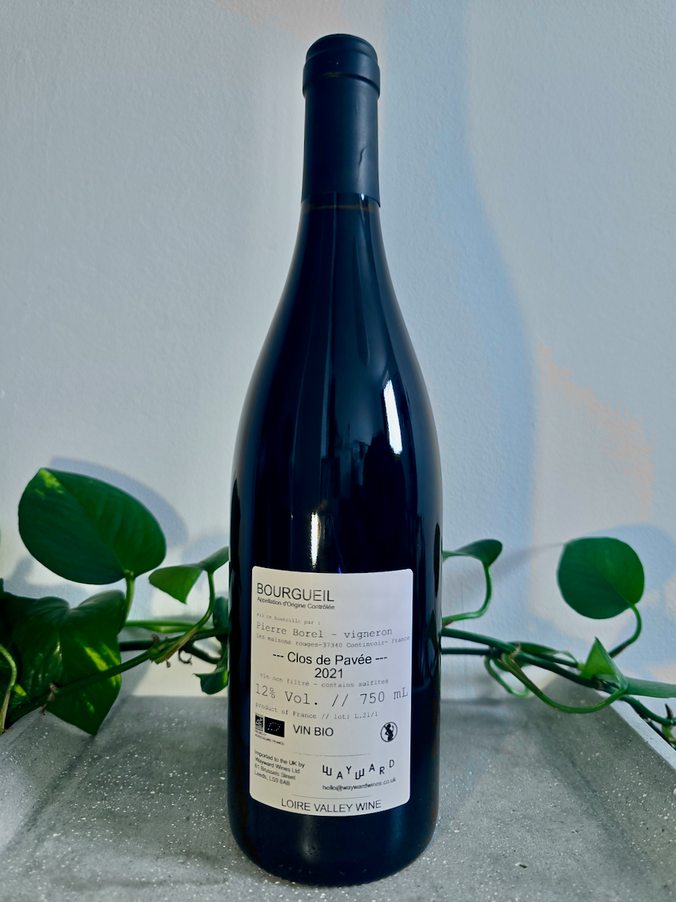 Pierre Borel 'Clos de Pavée' Bourgueil