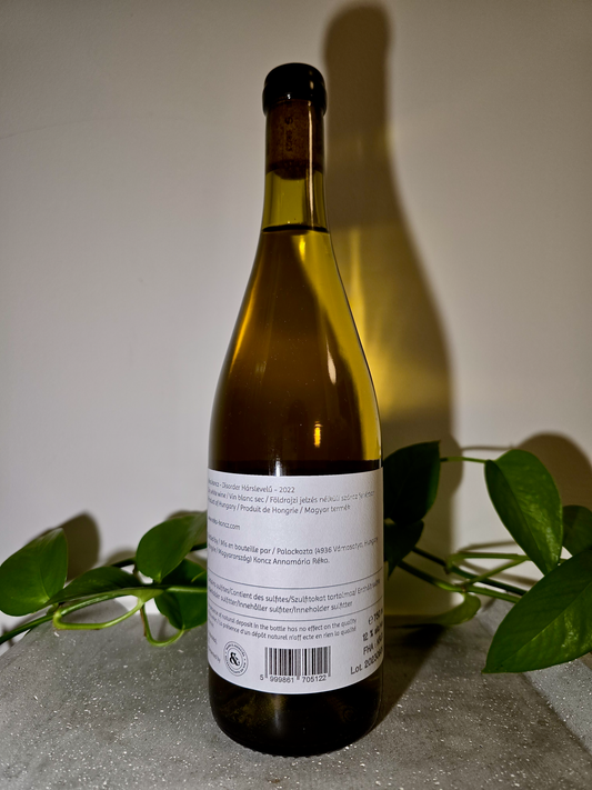 Réka Koncz Disorder H