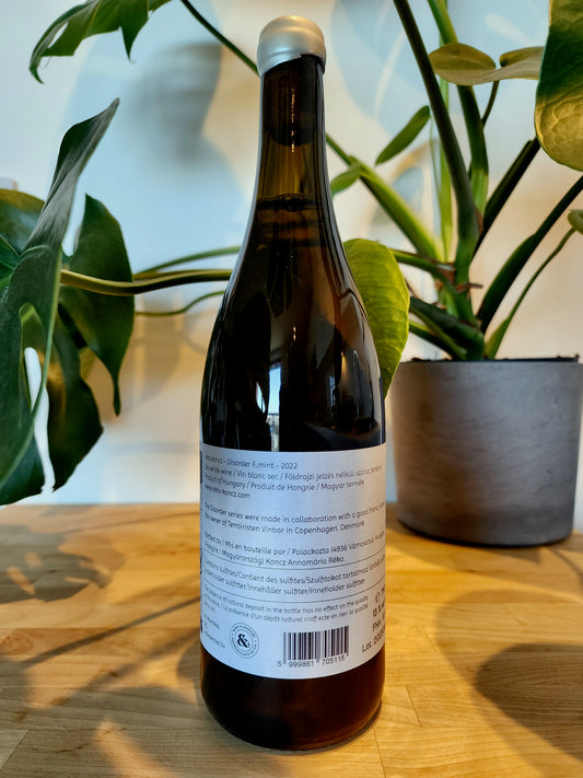 Réka Koncz Disorder 2022