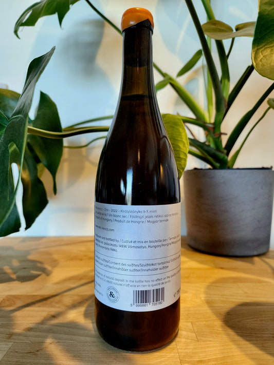 Réka Koncz Ora 2022