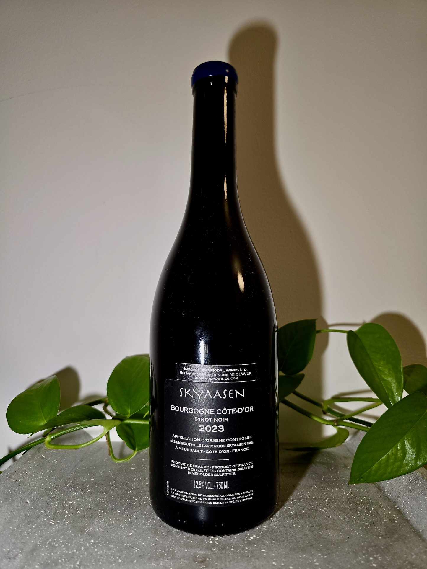 Maison Skyaasen Bourgogne Cote d'Or Rouge