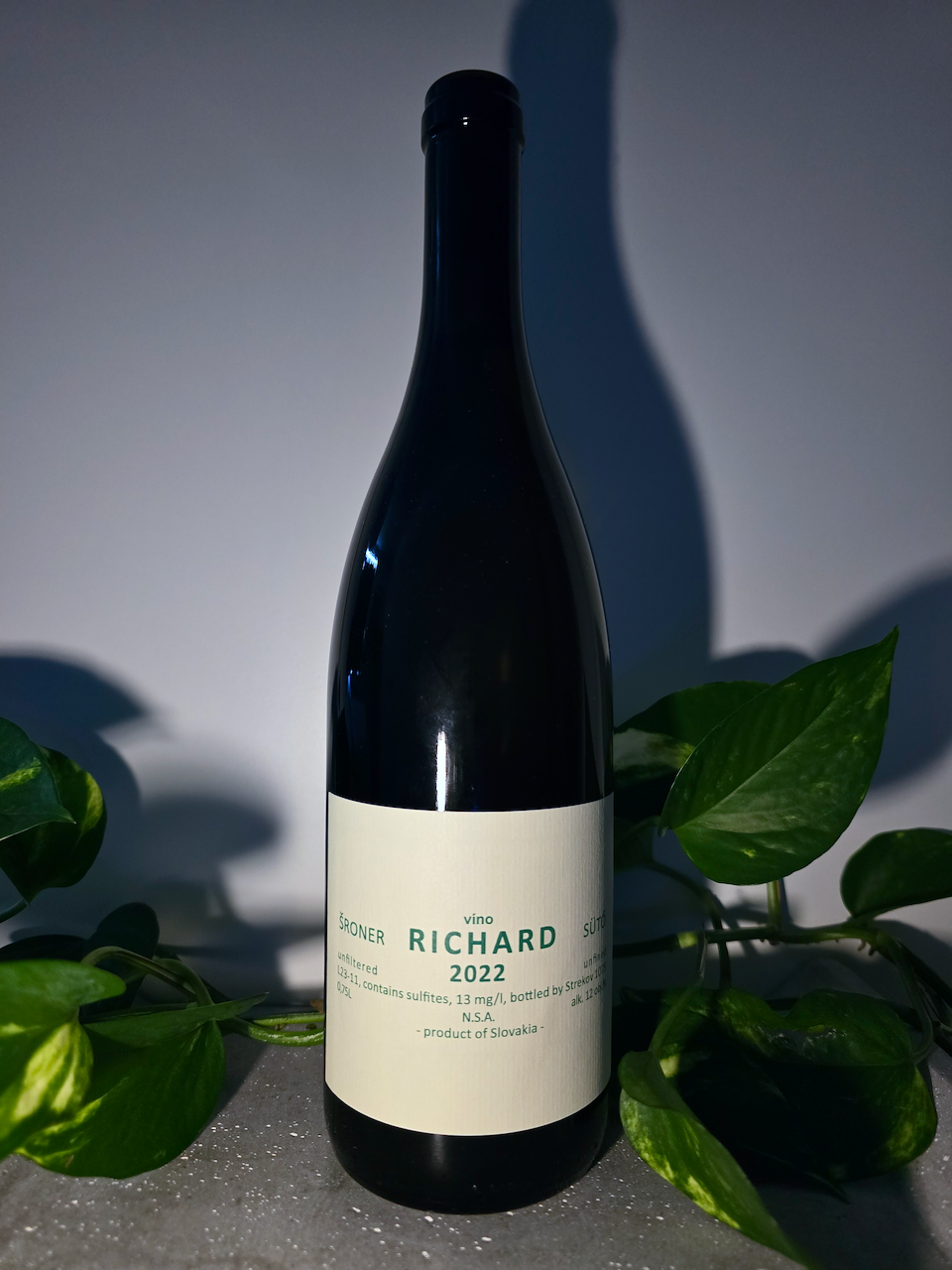 Strekov 1075 Richard