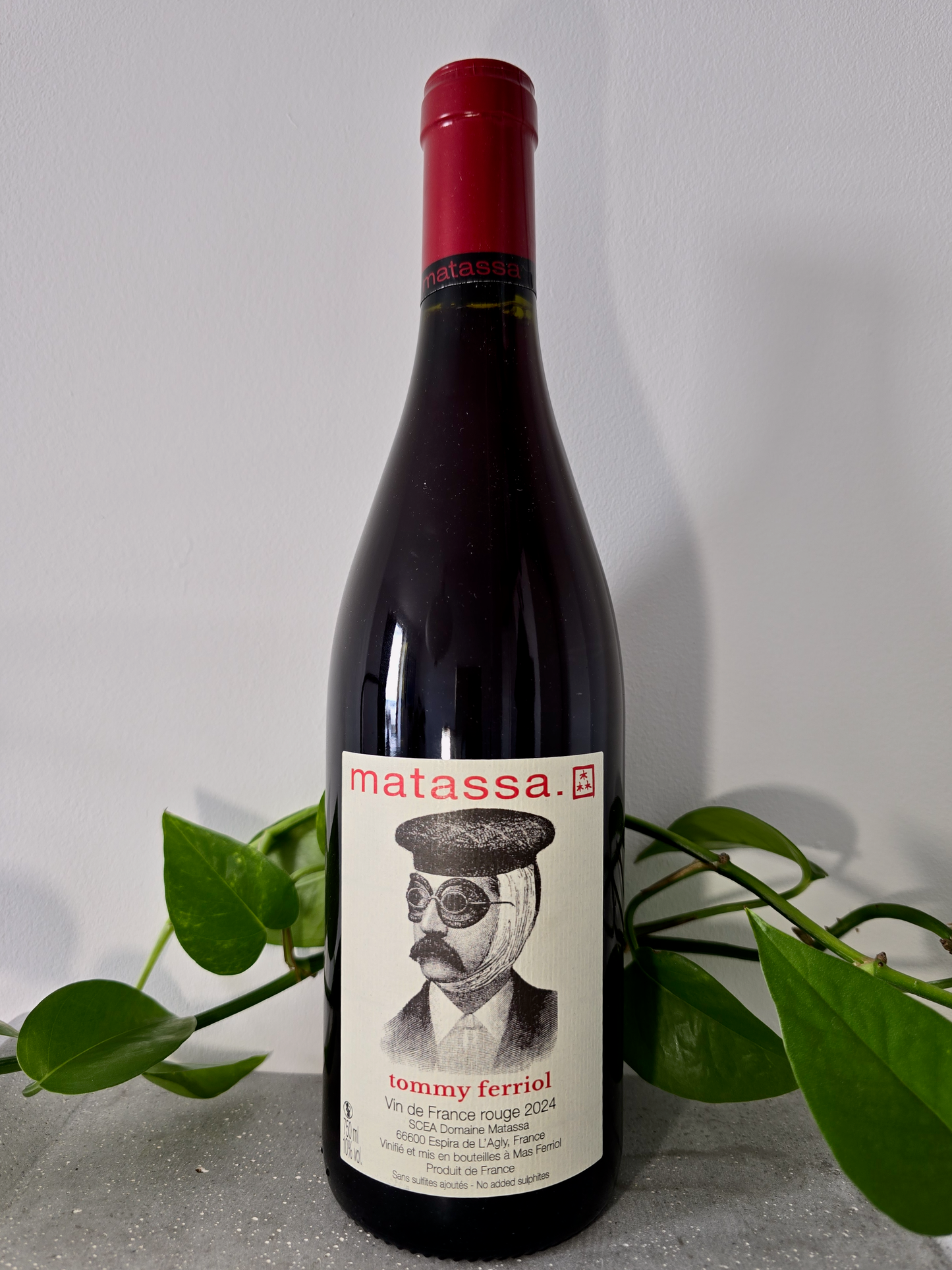 Matassa Tommy Ferriol