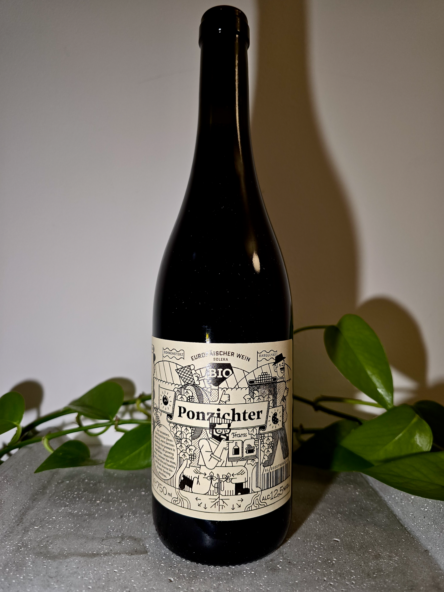 Franz Weninger Ponzicther