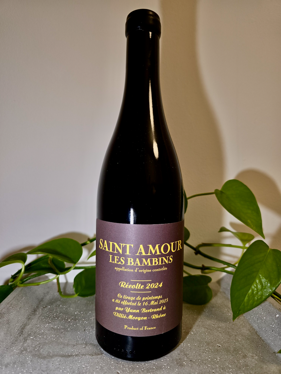 Yann Bertrand Saint Amour Les Bambins