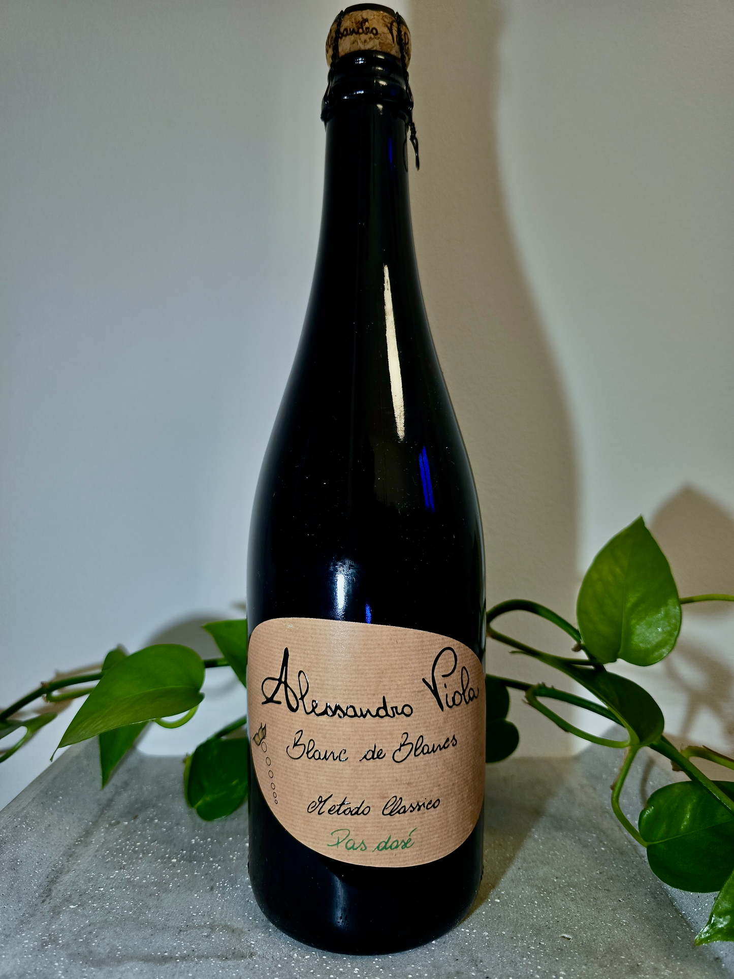 Alessandro Viola Blanc de Blanc Spumante Pas Dose