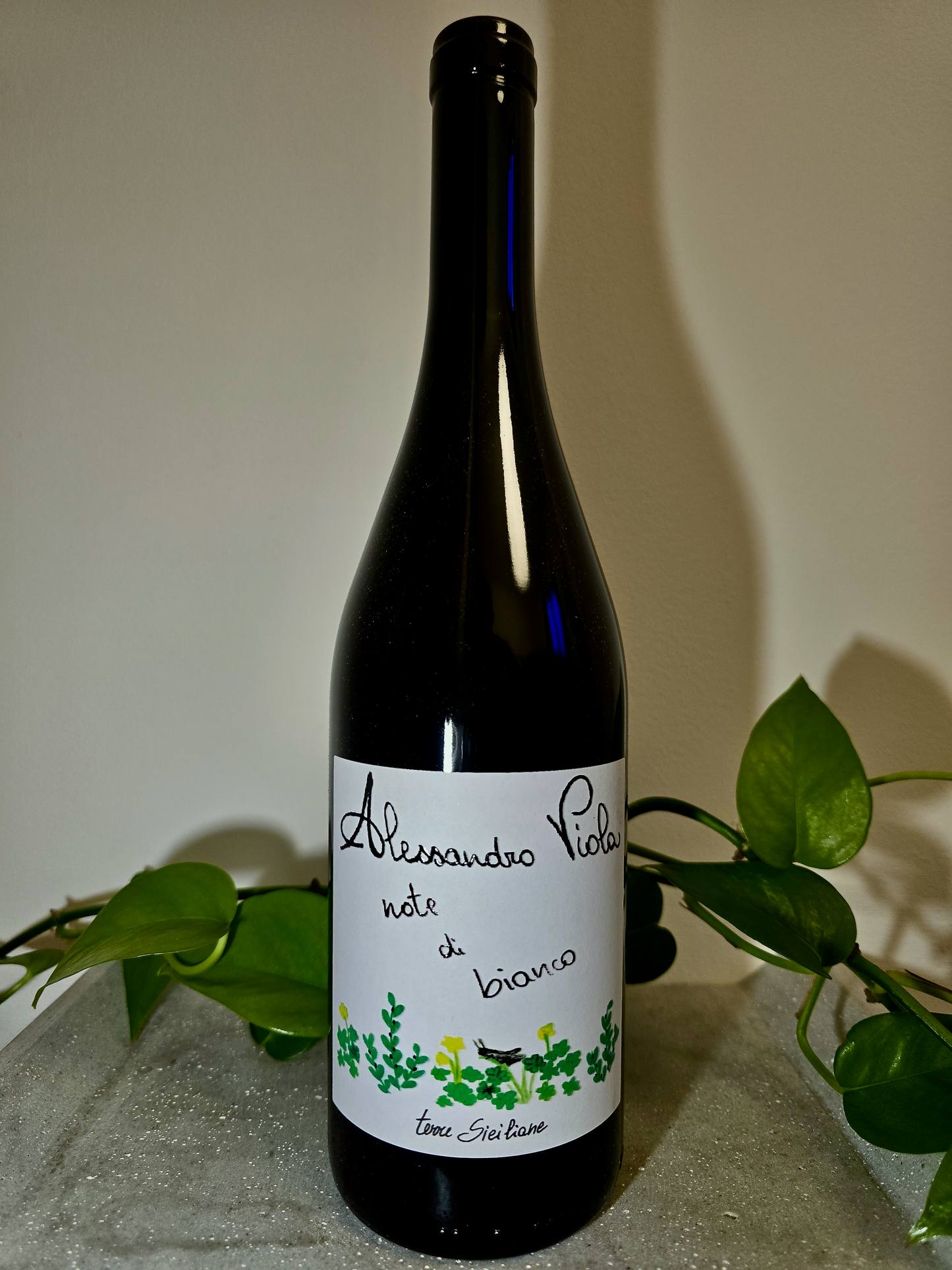 Alessandro Viola Note di Bianco