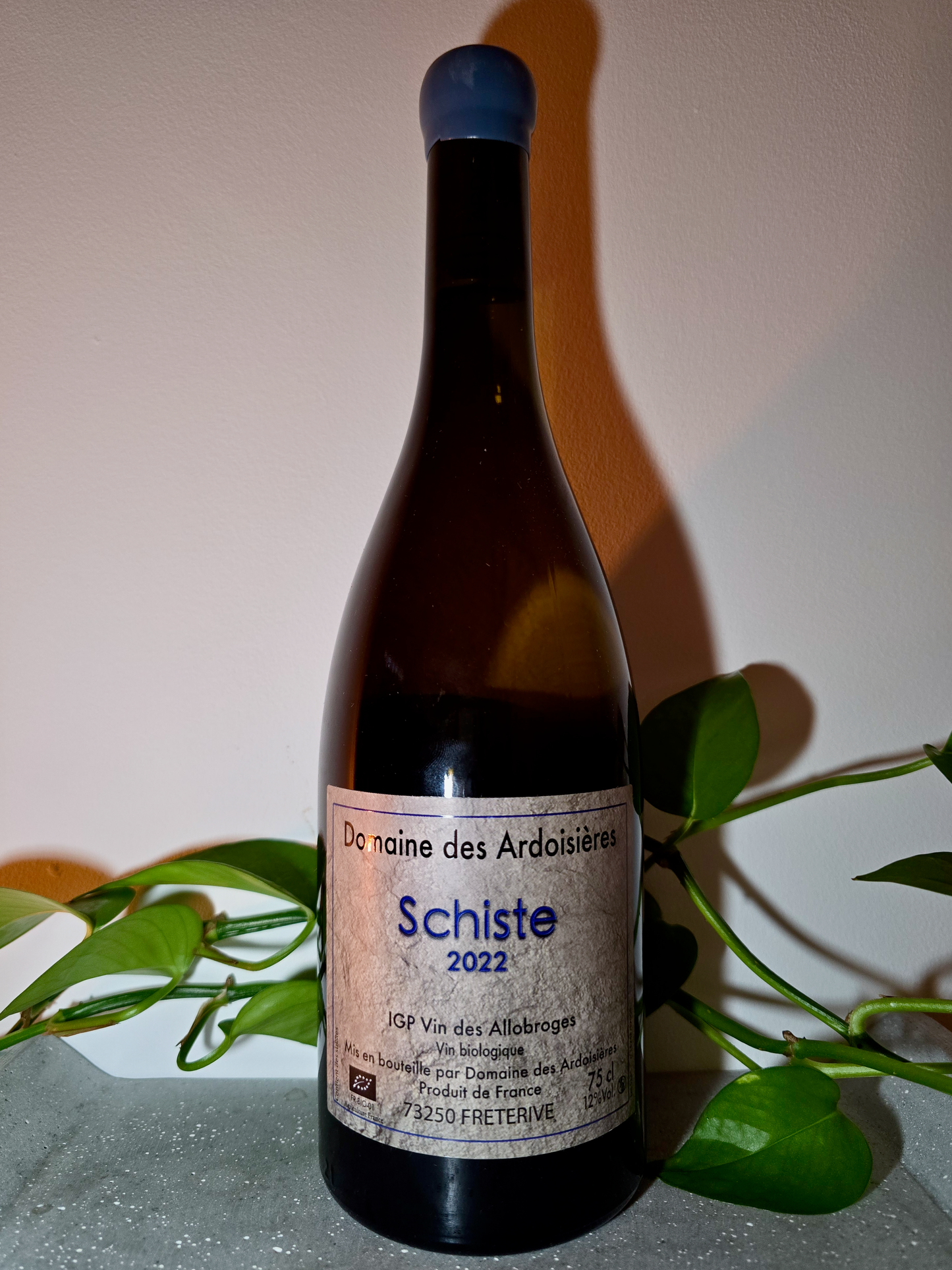 Domaine des Ardoisières Schiste Blanc