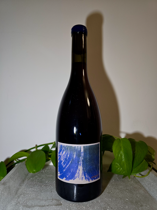 Bencze Birtok Kékfrankos