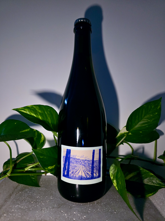 Bencze Pinot Gris