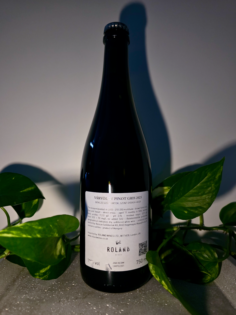 Bencze Pinot Gris