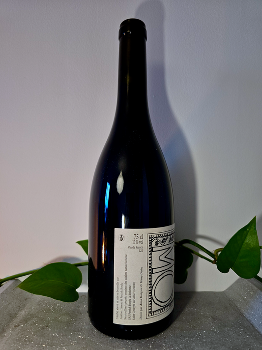 Patrick Bouju and Justine Loiseau MO