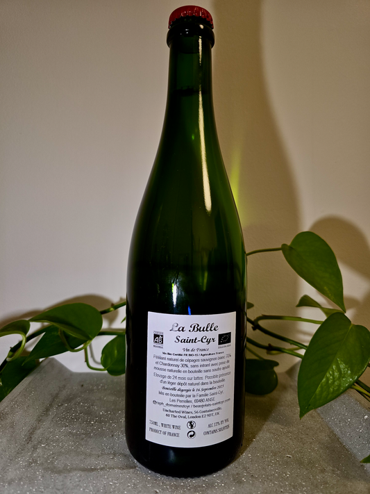 Domaine Saint Cyr La Bulle Pet-Nat