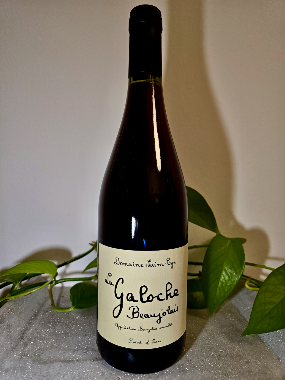 Domaine Saint Cyr Beaujolais La Galoche Rouge