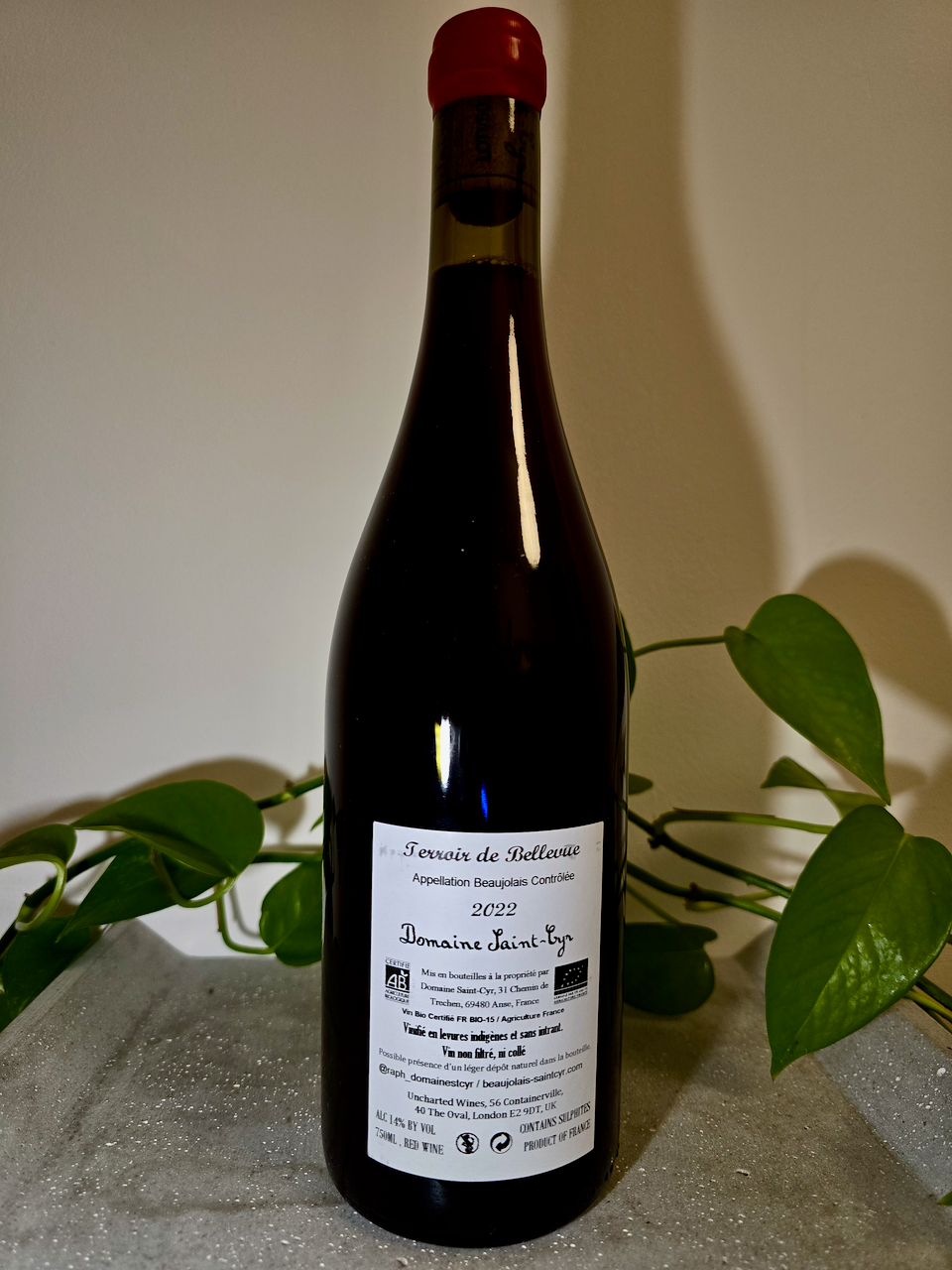 Domaine Saint Cyr Terroir de Bellevue