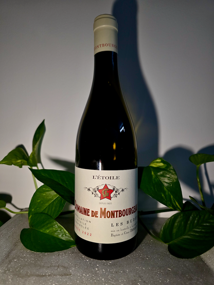 Domaine Montbourgeau L'Etoile - Savagnin, Les Budes
