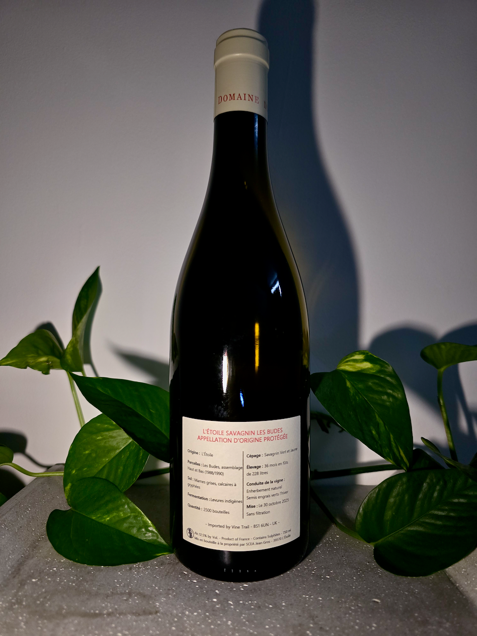 Domaine Montbourgeau L'Etoile - Savagnin, Les Budes