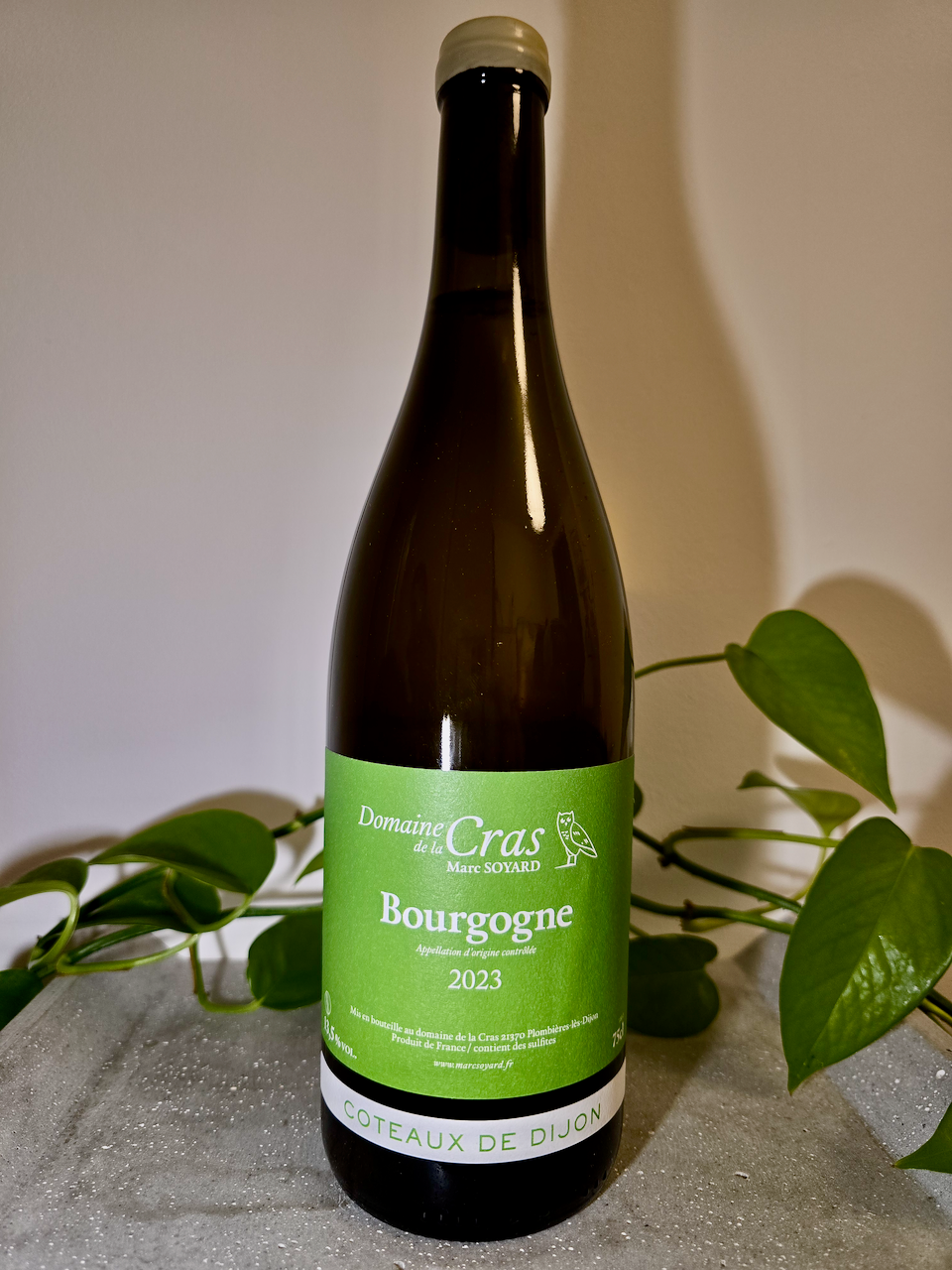 Domaine de la Cras Bourgogne Blanc