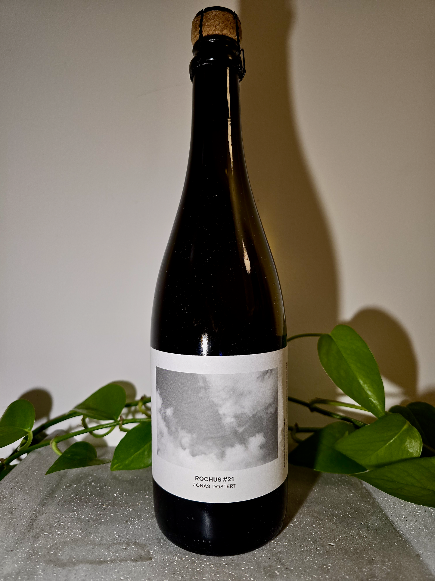 Jonas Dostert Rochus #21