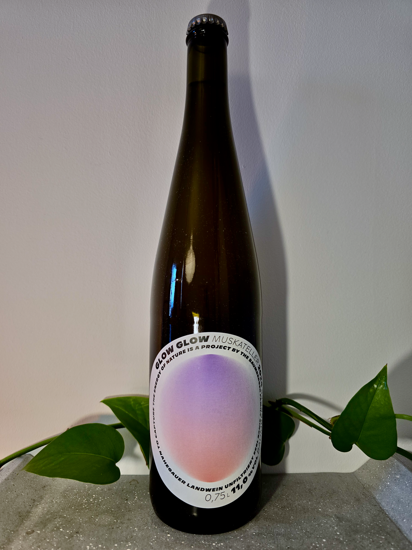 Glow Glow Muskateller