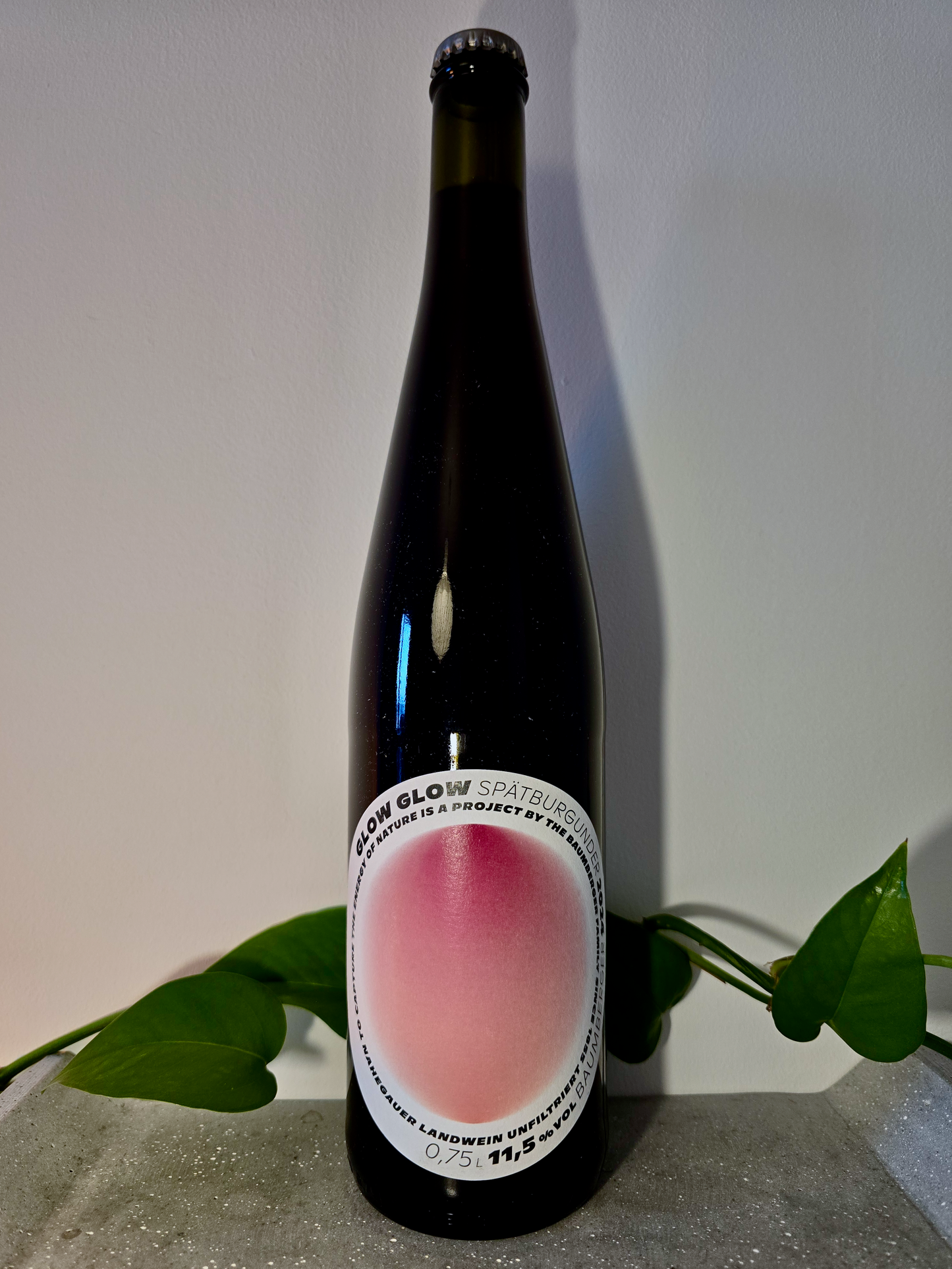 Glow Glow Spätburgunder