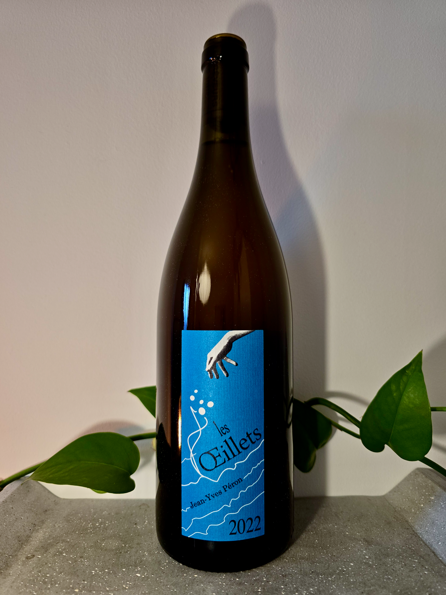 Jean Yves Péron Les Œillets