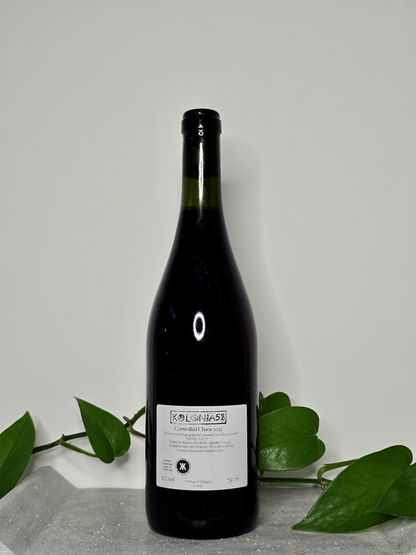 Kolonia 52 Controlled Chaos