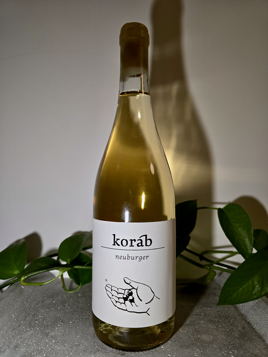 Petr Koráb Neuburger